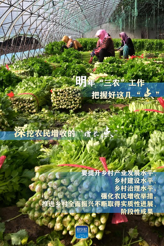 明年“三農(nóng)”工作，這幾個“點”要把握好