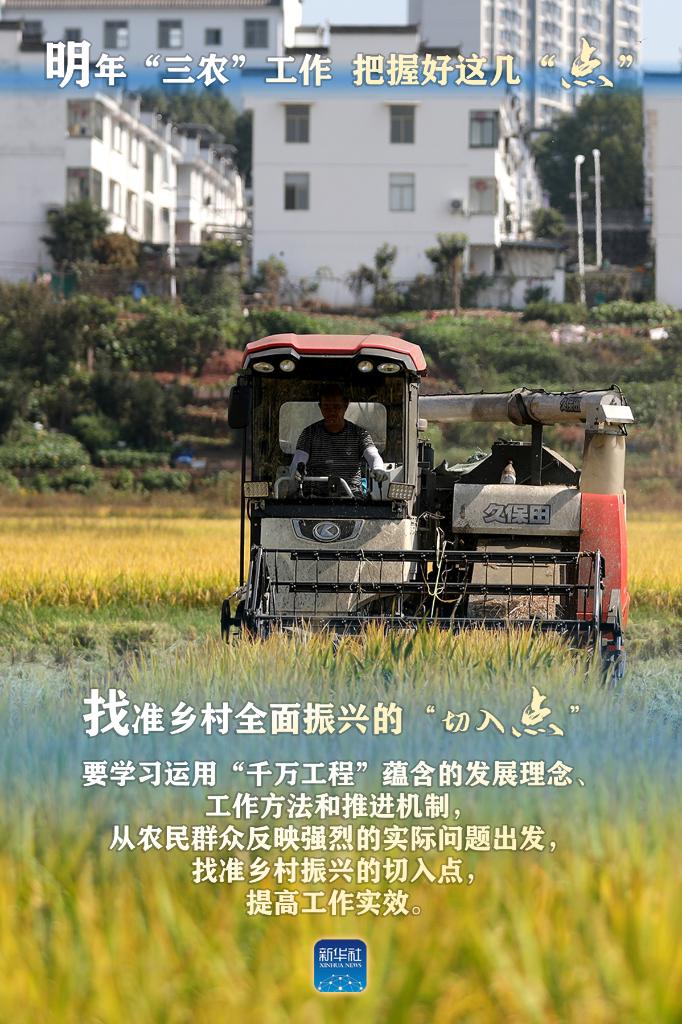 明年“三農(nóng)”工作，這幾個“點”要把握好