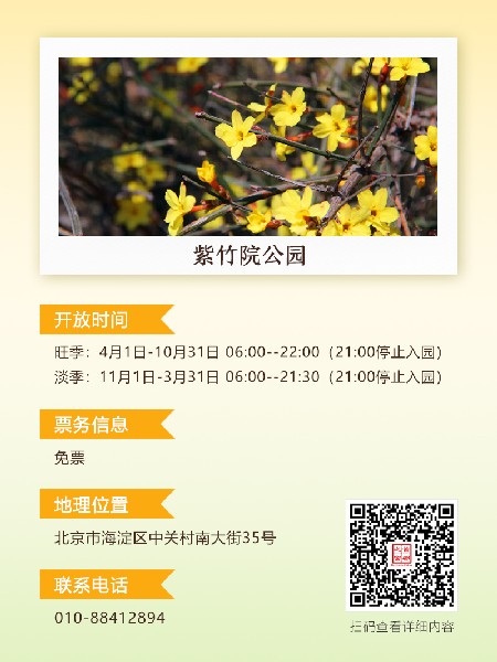 追花指南第二期！京城三月里最撩人的玉蘭觀賞地