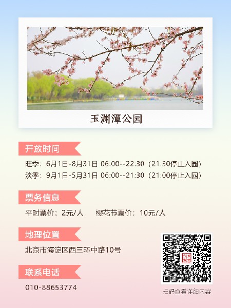追花指南第三期！別等了 今天就去和桃花撞個(gè)滿懷