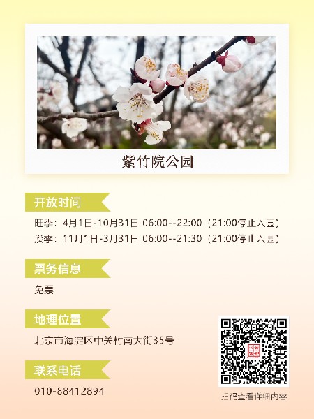 追花指南第六期！杏花雨 楊柳風(fēng) 北京最美的杏花在這里