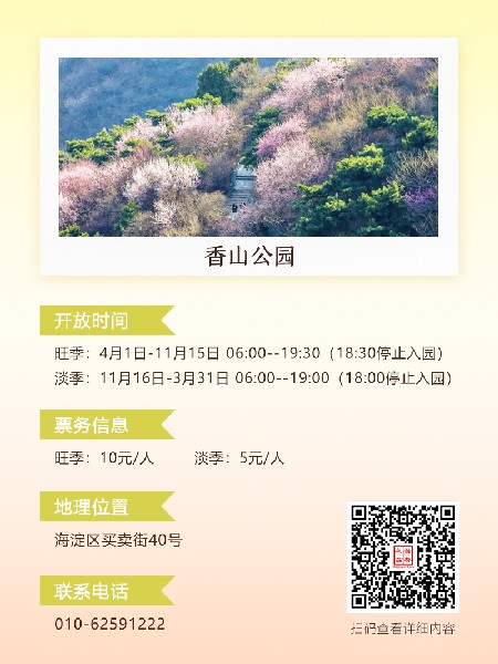追花指南第六期！杏花雨 楊柳風(fēng) 北京最美的杏花在這里
