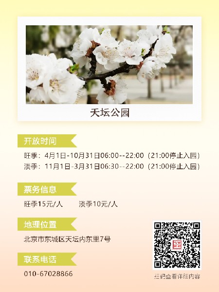 追花指南第六期！杏花雨 楊柳風(fēng) 北京最美的杏花在這里