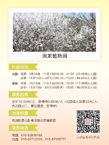 追花指南第六期！杏花雨 楊柳風(fēng) 北京最美的杏花在這里