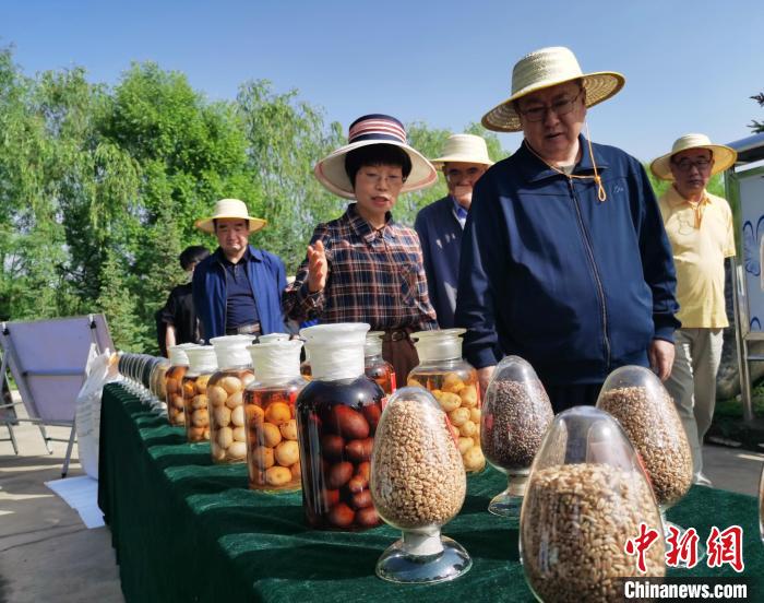 青海：利用冷涼氣候，打造高原綠色種業(yè)輸出地
