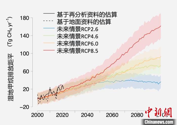 基于觀測的濕地甲烷排放變化與未來氣候變化情景下估算的對比。　中科院青藏高原所 供圖