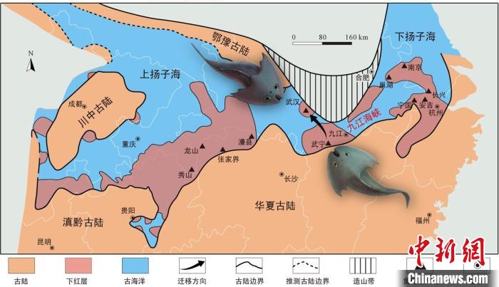 華南地區(qū)志留紀(jì)早期古地理圖和盔甲魚類化石產(chǎn)地(山顯任改自陳旭、戎嘉余，1996；戎嘉余等，2012) 中科院古脊椎所 供圖