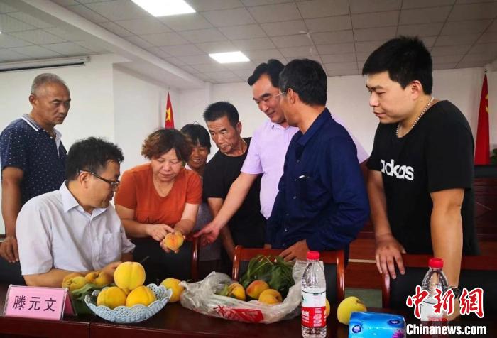 民進浙江省委會為三里橋黃桃種植戶送技術(shù)、送指導(dǎo)。　嘉善統(tǒng)戰(zhàn) 供圖