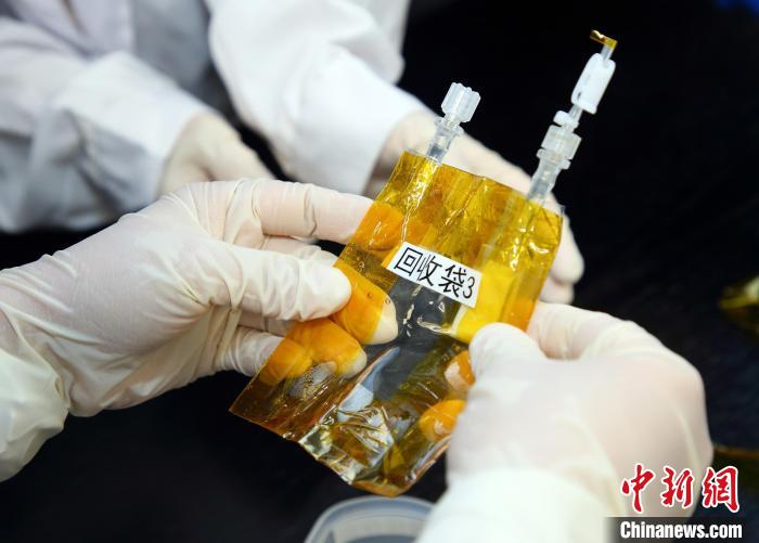 隨神舟十五號(hào)返回地面的空間科學(xué)實(shí)驗(yàn)樣品?！≈锌圃嚎臻g應(yīng)用中心 供圖