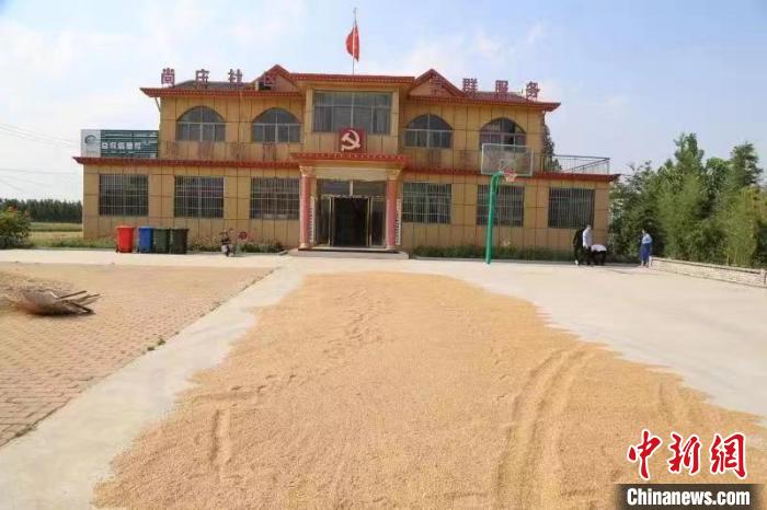 農民在邳莊鎮(zhèn)尚莊村黨群服務中心大院里曬糧?！≠Z萌 攝