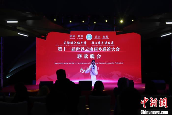 圖為第十一屆世界云南同鄉(xiāng)聯(lián)誼大會(huì)舉辦聯(lián)歡晚會(huì)。　崔永江 攝