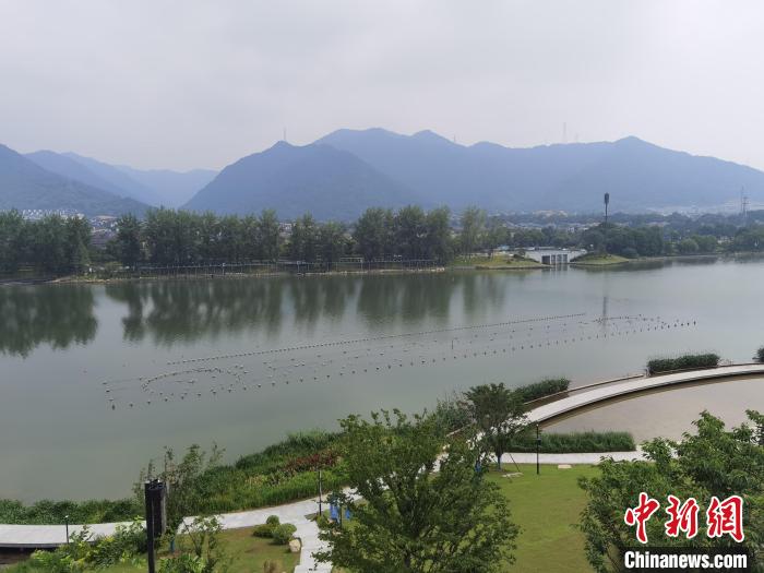 兩岸媒體共探杭州亞運(yùn)會(huì)“綠”在何處？