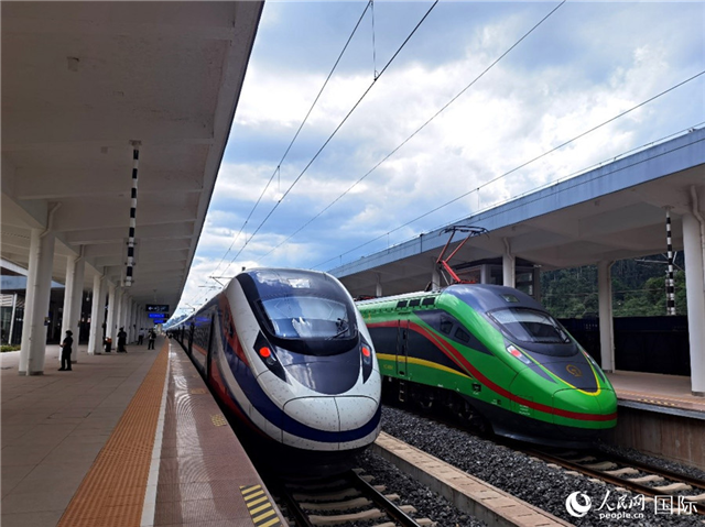 “復(fù)興號”和“瀾滄號”國際旅客列車?？吭诶蠐肽ザ≌?。人民網(wǎng) 杜明明攝