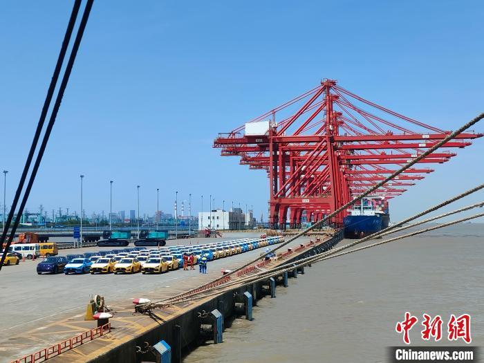 資料圖：國(guó)產(chǎn)新能源車在上海外高橋港區(qū)海通碼頭“整裝待發(fā)”?！∑址?攝