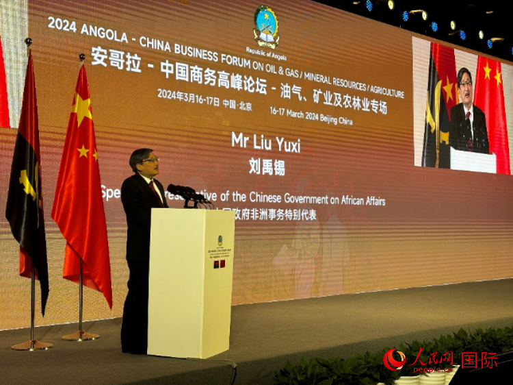 中國政府非洲事務(wù)特別代表劉禹錫。人民網(wǎng)記者 張榮攝