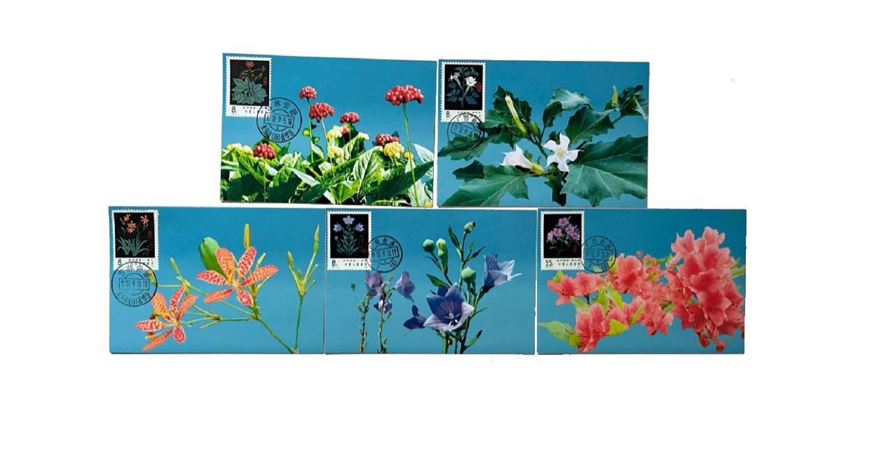 首套藥用植物極限片。第七屆阿聯(lián)酋集郵展主辦方供圖