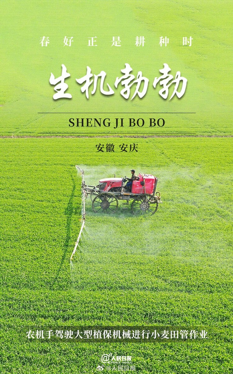 生機(jī)盎然！用課本封面打開春耕畫卷