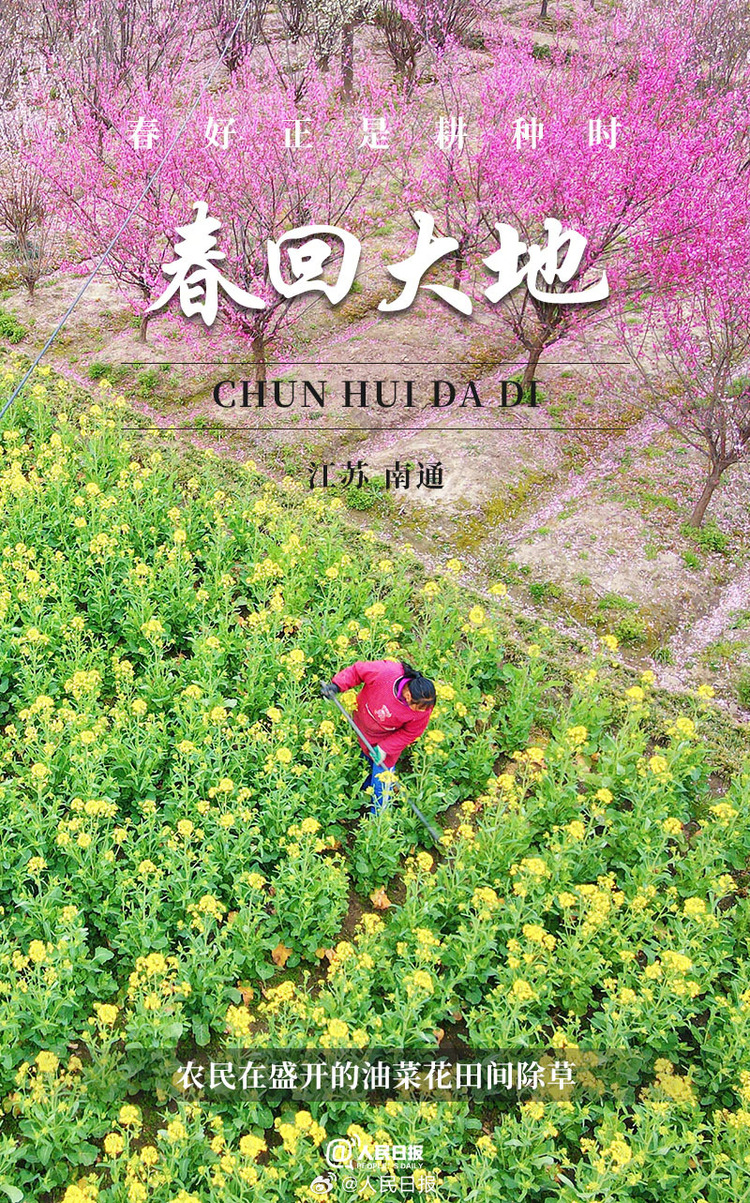 生機(jī)盎然！用課本封面打開春耕畫卷