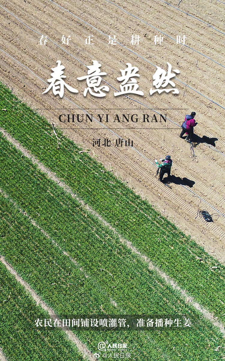 生機(jī)盎然！用課本封面打開春耕畫卷
