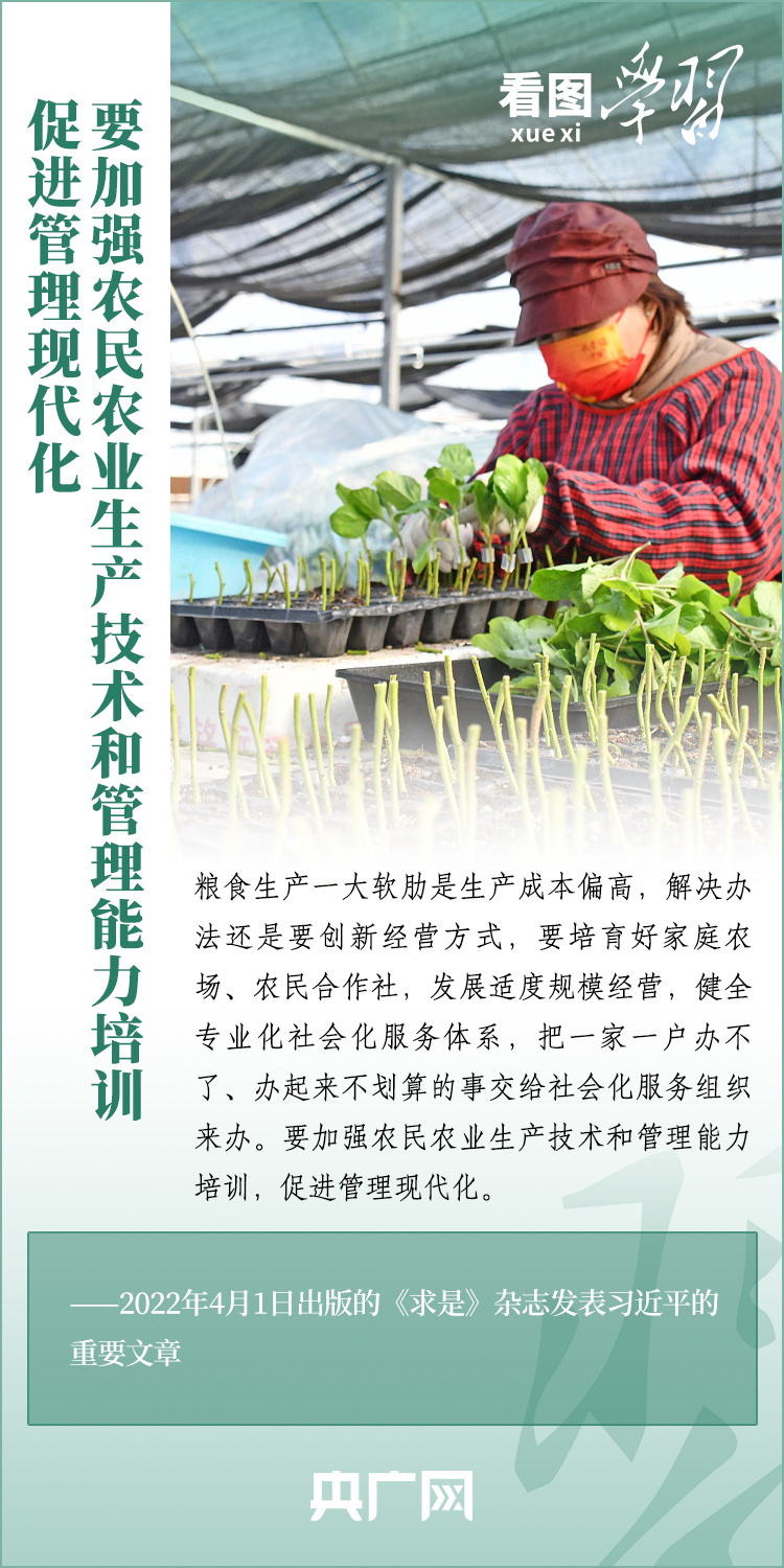 看圖學(xué)習(xí)丨推廣良田、良種、良法、良機(jī) 給農(nóng)業(yè)現(xiàn)代化插上科技的翅膀