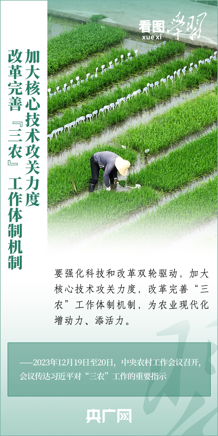 看圖學(xué)習(xí)丨推廣良田、良種、良法、良機(jī) 給農(nóng)業(yè)現(xiàn)代化插上科技的翅膀