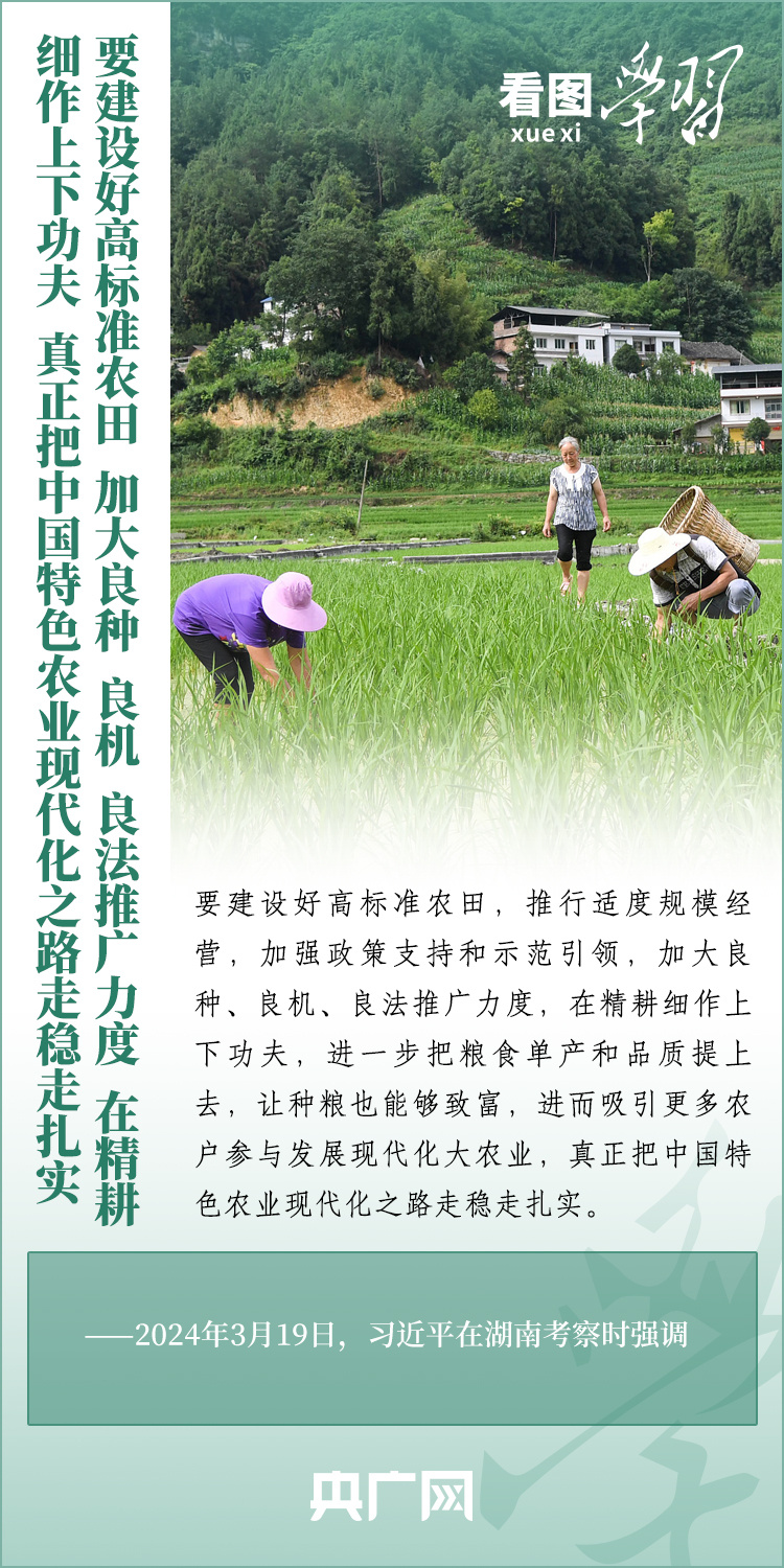 看圖學(xué)習(xí)丨推廣良田、良種、良法、良機(jī) 給農(nóng)業(yè)現(xiàn)代化插上科技的翅膀