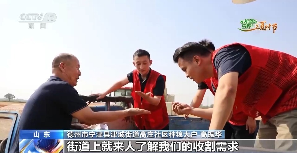 “三夏”生產(chǎn)思維導(dǎo)圖安排上了！還有政府大院等你來“曬”
