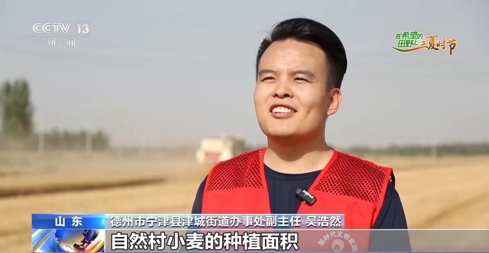 “三夏”生產(chǎn)思維導(dǎo)圖安排上了！還有政府大院等你來“曬”