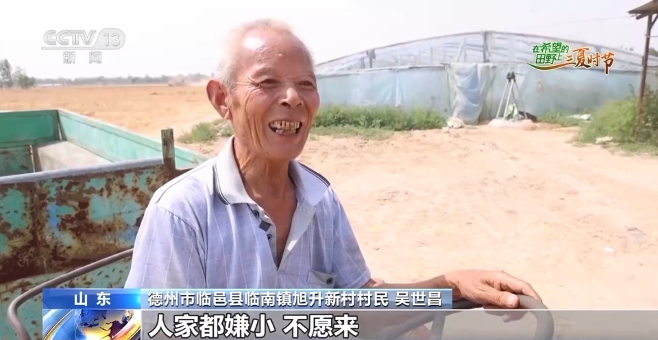 “三夏”生產(chǎn)思維導(dǎo)圖安排上了！還有政府大院等你來“曬”