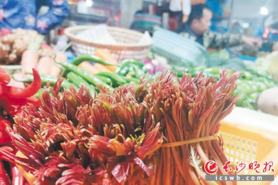 　　農(nóng)貿(mào)市場里鮮嫩的香椿?！　【鶠殚L沙晚報(bào)全媒體記者 劉捷萍 攝