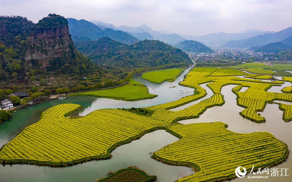 3月28日，航拍浙江省臨海市桃渚鎮(zhèn)桃江十三渚盛開的油菜花景色。人民網(wǎng) 章勇濤攝