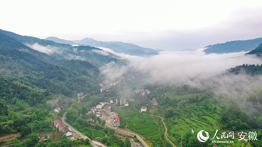 雨后的金寨大灣村，云霧環(huán)繞，宛如一幅田園山水畫卷。人民網(wǎng) 張俊攝