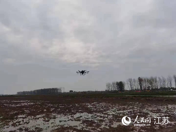 勝利圩高標(biāo)準(zhǔn)農(nóng)田進(jìn)行無人機(jī)水稻播種。陽(yáng)江鎮(zhèn)供圖