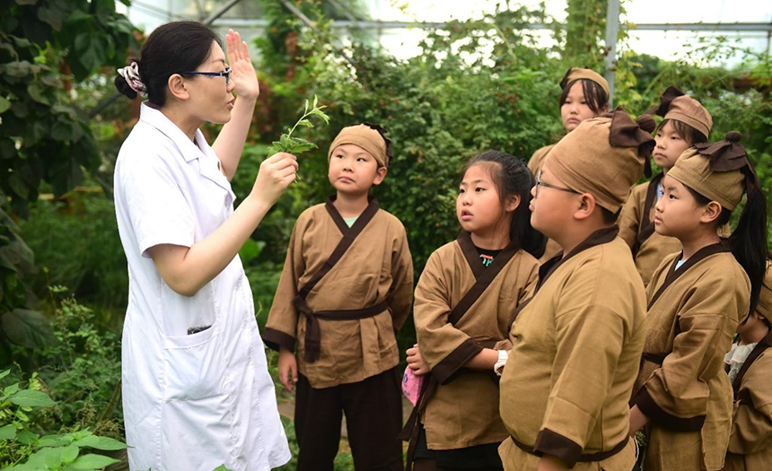 參加活動的孩子聆聽滄州市人民醫(yī)院國醫(yī)館中醫(yī)對中藥材的講解。 傅新春攝