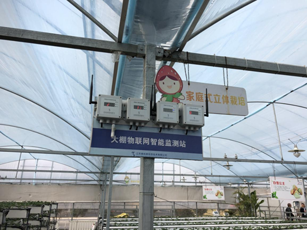 都市四季果園內(nèi)的物聯(lián)網(wǎng)智能監(jiān)測站系統(tǒng)。東?？h委宣傳部供圖