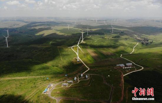 6月28日，河北張家口張北草原上大片風(fēng)力發(fā)電的“風(fēng)車”規(guī)模宏大。 中新社記者 楊艷敏 攝