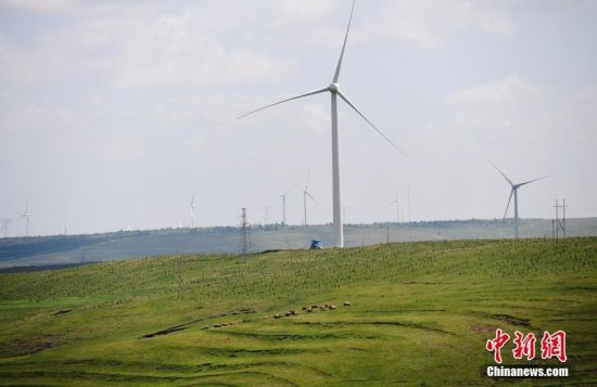 6月28日，河北張家口張北草原上大片風(fēng)力發(fā)電的“風(fēng)車”規(guī)模宏大。 中新社記者 楊艷敏 攝