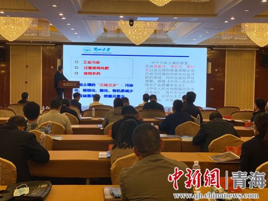 圖為論壇現(xiàn)場(chǎng)。李江寧攝