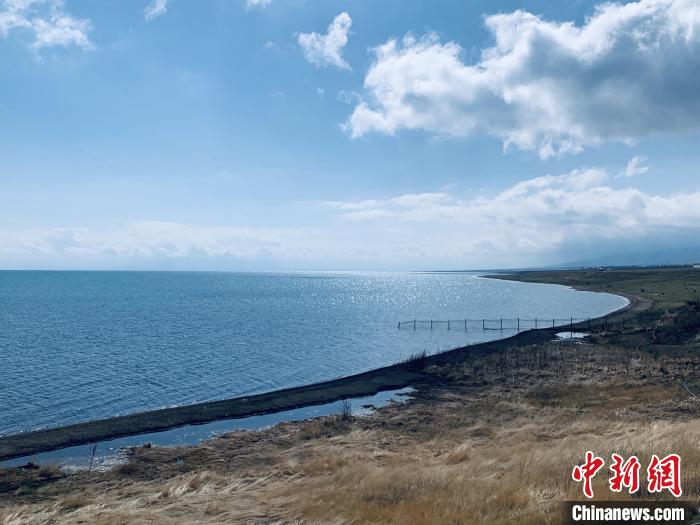 圖為青海湖畔。(資料圖) 張傲 攝