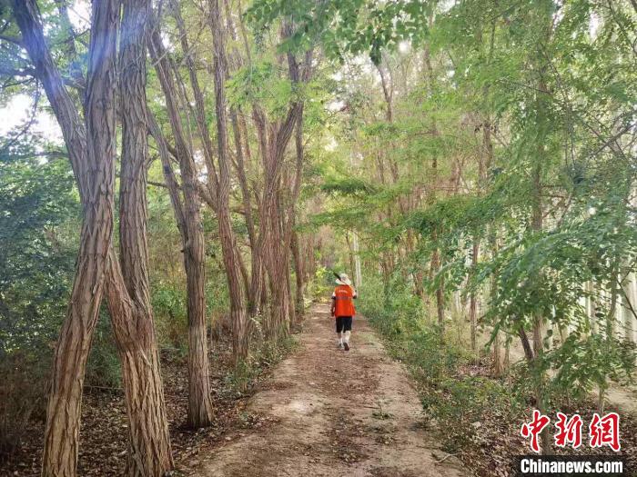 戈壁灘上的護(hù)林員：以前風(fēng)吹睜不開(kāi)眼，現(xiàn)在滿眼皆綠色