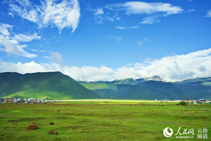 納帕海濕地風(fēng)景。呂昊辰攝