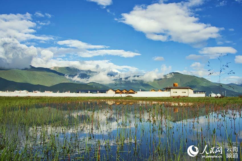 納帕海濕地風(fēng)景。呂昊辰攝