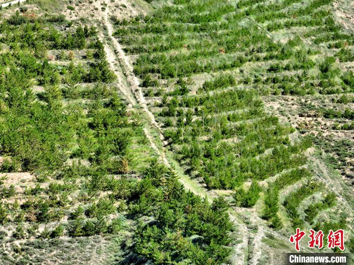 航拍建行青海省分行綠化區(qū)?！∑钤鲚?攝