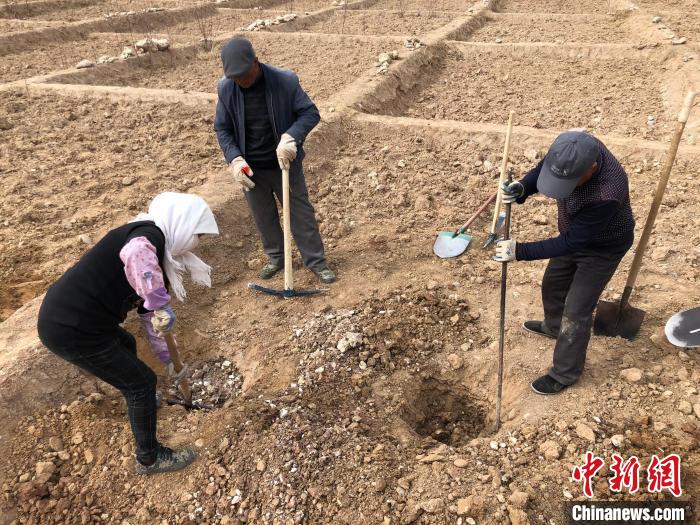 資料圖為建行青海省分行綠化區(qū)施工隊(duì)隊(duì)員處理亂石?！〗ㄐ星嗪Ｊ》中泄﹫D