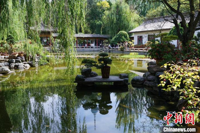 圖為西寧園林植物園秋日風(fēng)景別有韻味?！●R銘言 攝