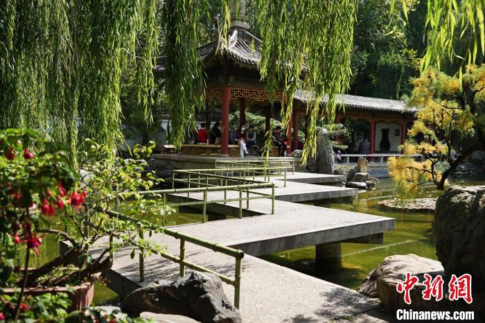 圖為西寧園林植物園秋日風(fēng)景別有韻味?！●R銘言 攝