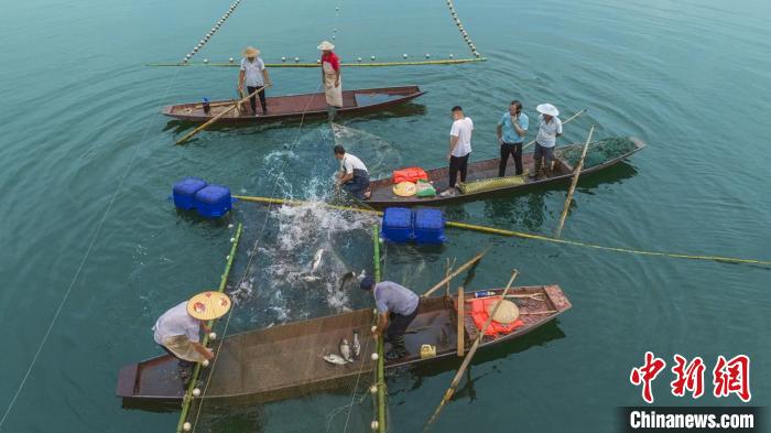 捕魚現(xiàn)場?！≈鬓k方供圖