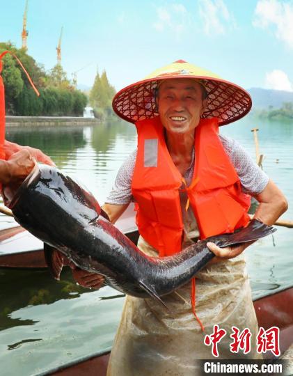 工作人員展示捕撈成果?！≈鬓k方供圖