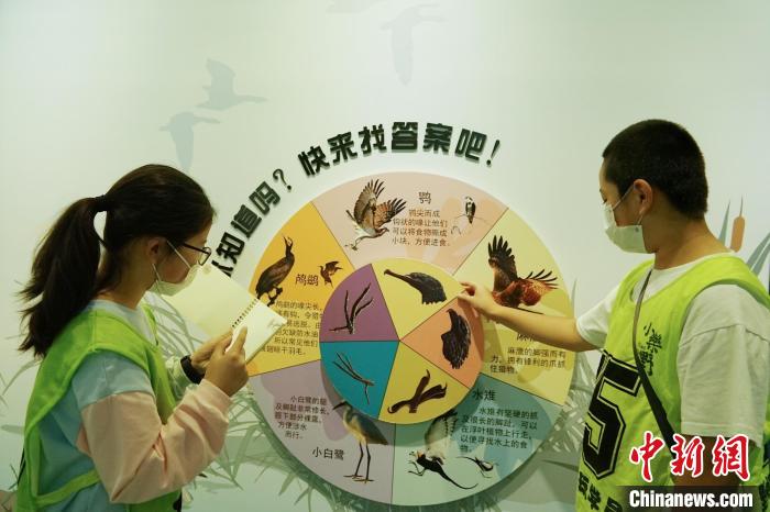 圖為小朋友在青海西寧湟水國家濕地公園科普館內參觀學習?！●R銘言 攝