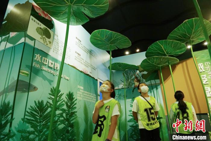 圖為小朋友在青海西寧湟水國家濕地公園科普館內參觀學習?！●R銘言 攝